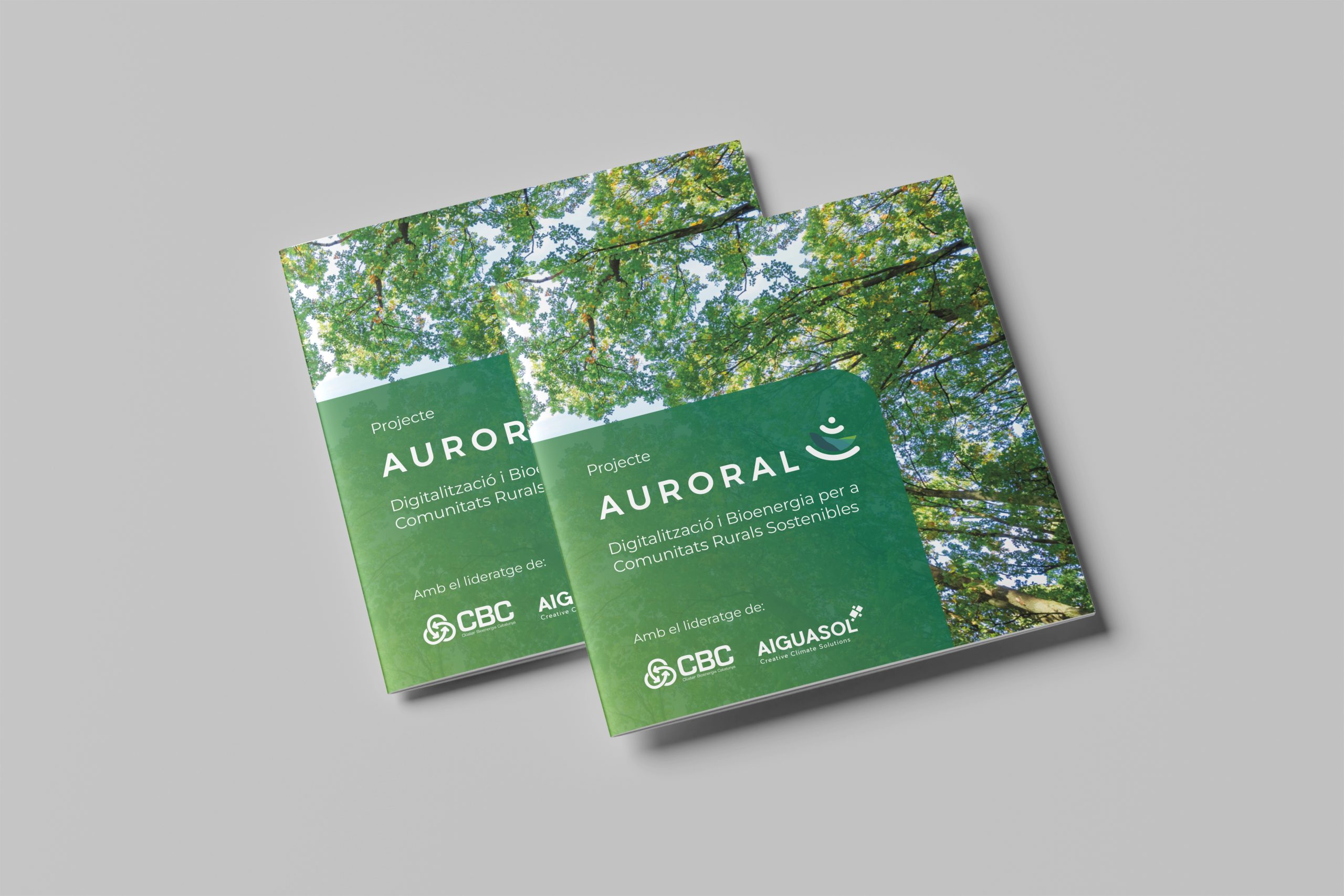 brochure auroral